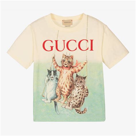 gucci kids cat|cat wearing gucci.